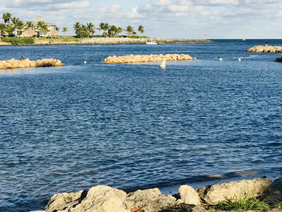 Dubois Park along the Jupiter Inlet is a fun and relaxing place to visit over Spring Break.