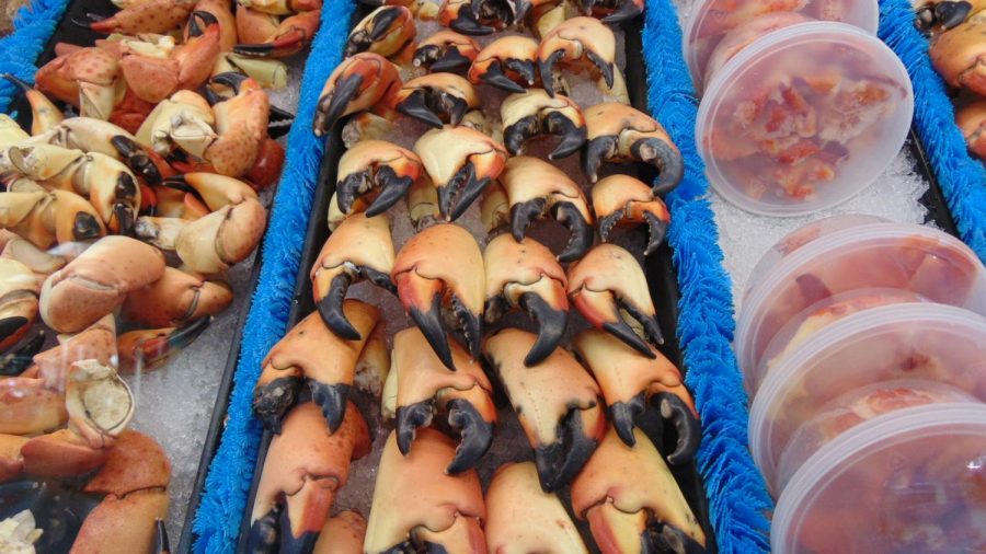 Stone crabs on sale at Pinders Seafood and Marketplace in Tequesta. 