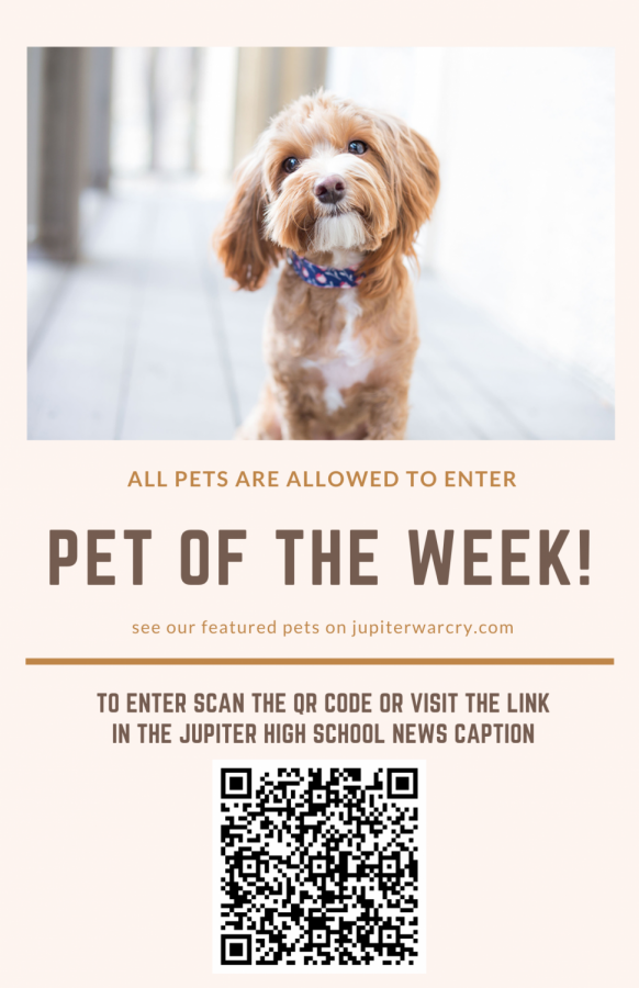 Submit a photo of your pet to be featured in Pet of the Week!