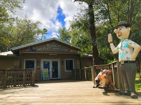 Busch Wildlife is moving to a new location in Jupiter Farms.
