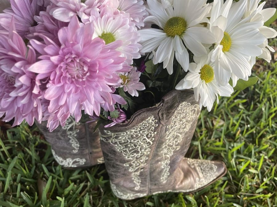 A pair of cowboy boots hold pink and white flowers on display.