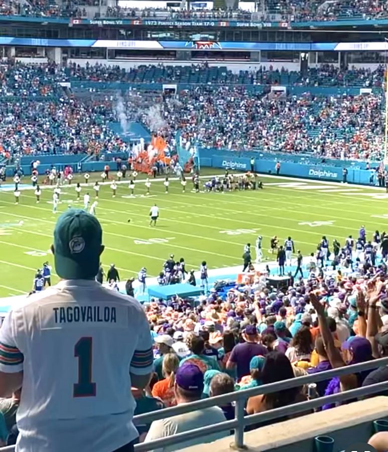 Photo from a Miami Dolphins football game.