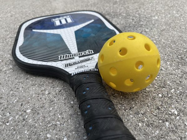 Pickleball sweeps the country by storm