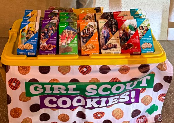 Centuries of Girl Scout Impact