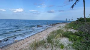 A coast eroded shoreline at Coral Cove Beach. 

