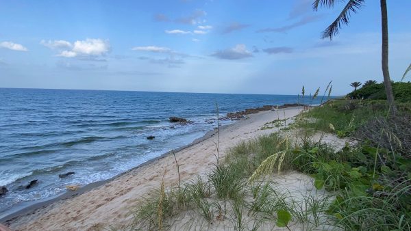 A coast eroded shoreline at Coral Cove Beach. 
