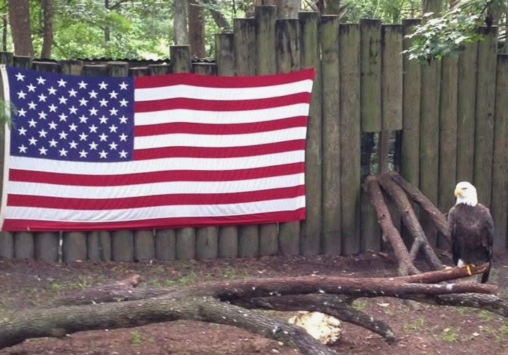 Photo taken by Morgan Kilroy of Homosassa Springs Wildlife State Park 