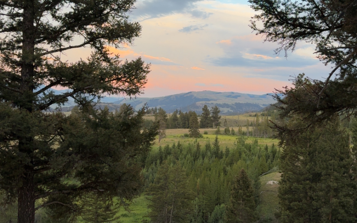 OPINION: Climate change is Negatively Affecting Natural Disasters