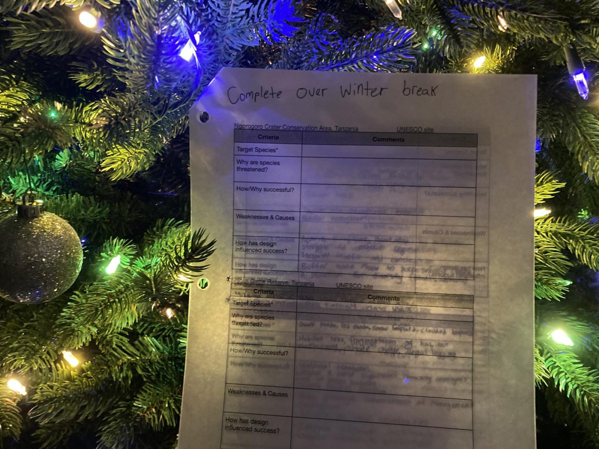 Holiday Homework 