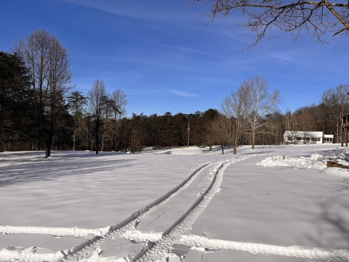 Winter Storms effect in Virgina